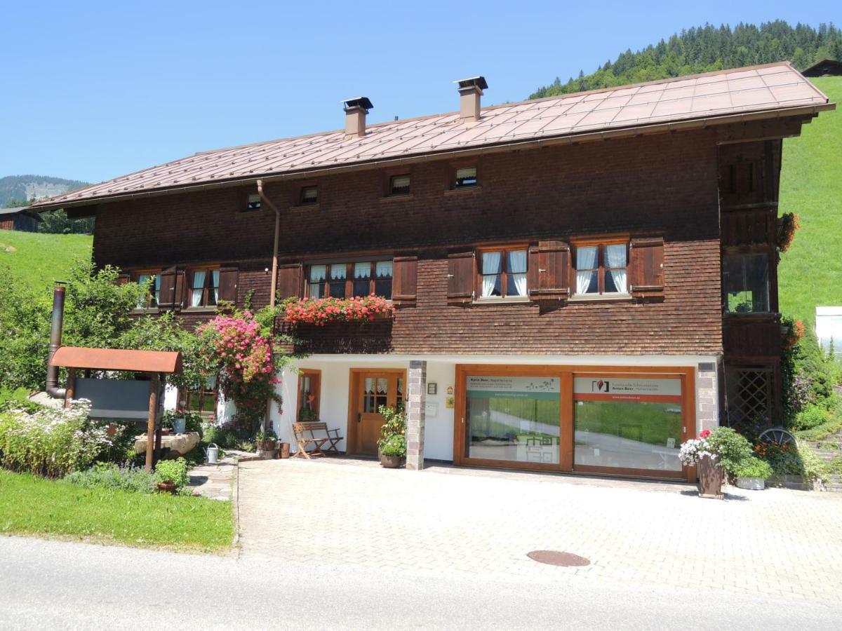 Apartment Karin Mitten Im Grünen Schoppernau