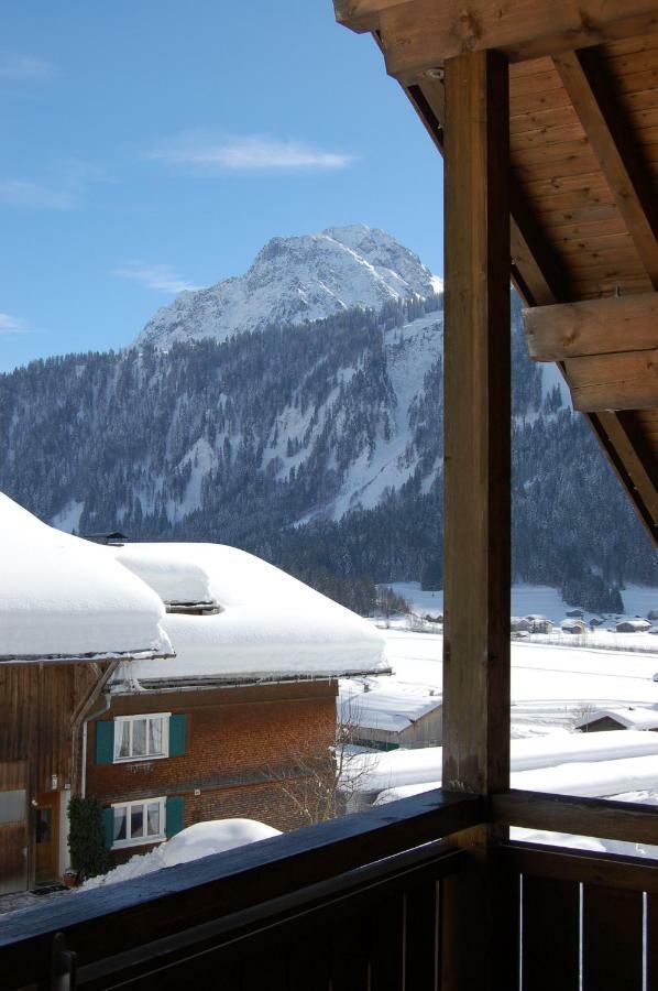 Apartment Karin Mitten Im Grünen Schoppernau