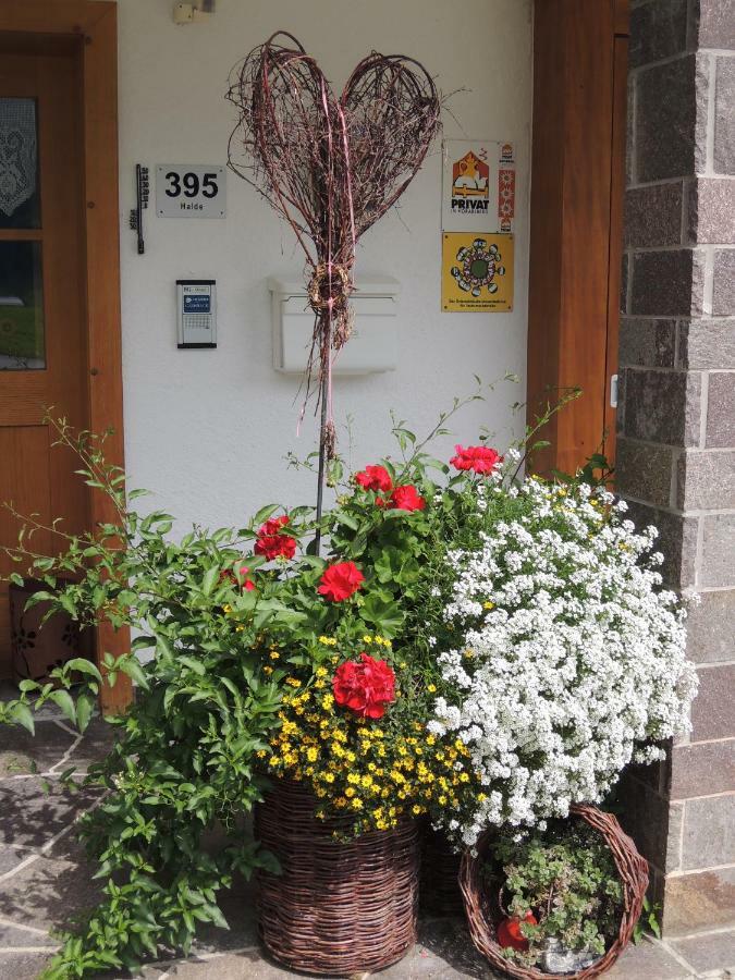 Karin Mitten Im Grünen