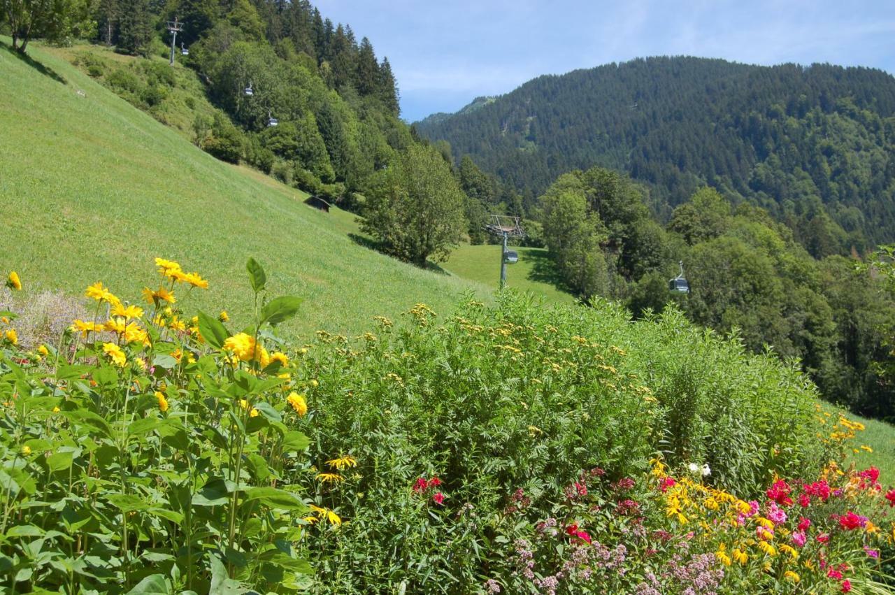 Karin Mitten Im Grünen * Schoppernau